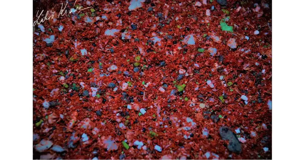 LK Baits IQ Method Mix Fruit 1,5kg | Rychlá expedice