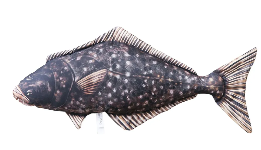 Extra sleva - Gaby Polštář Halibut 72cm