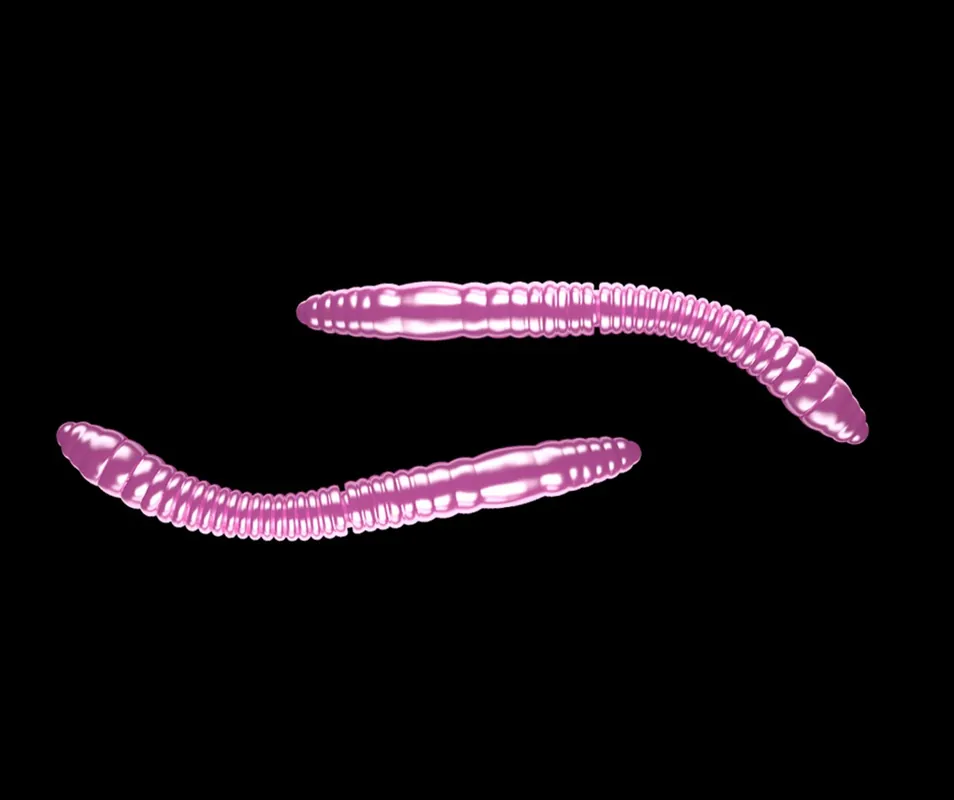 Outlet | Libra Lures Fatty D’Worm Pink Pearl