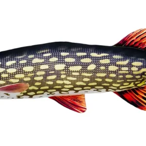 Velmi žádaný produkt | Gaby Polštář Štika obecná Pike Giant 110 cm