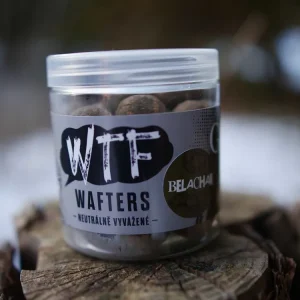 Nabídka dne | G.B.U. Boilies WTF Wafters Belachan 120g