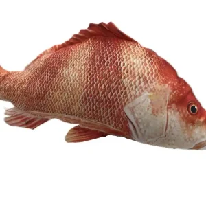 Snížená cena | GABY polštář Okoun hlubinný 75cm