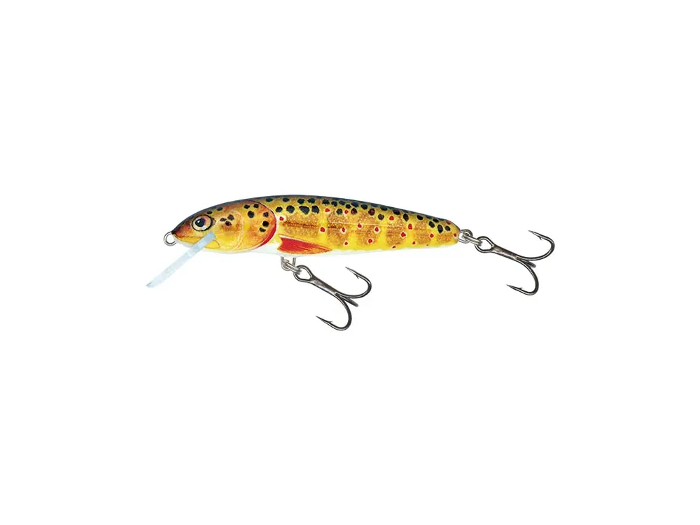 Rychlá expedice | Salmo wobler Minnow Floating Trout