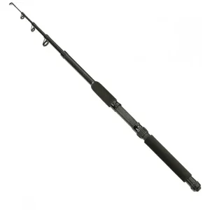 Velmi populární - Albastar Prut Holiday Tele Rod Matt Black 2,1m 10-30g
