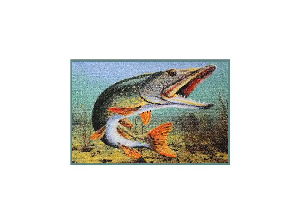 Delphin Rohož 3D štika | Akční sleva