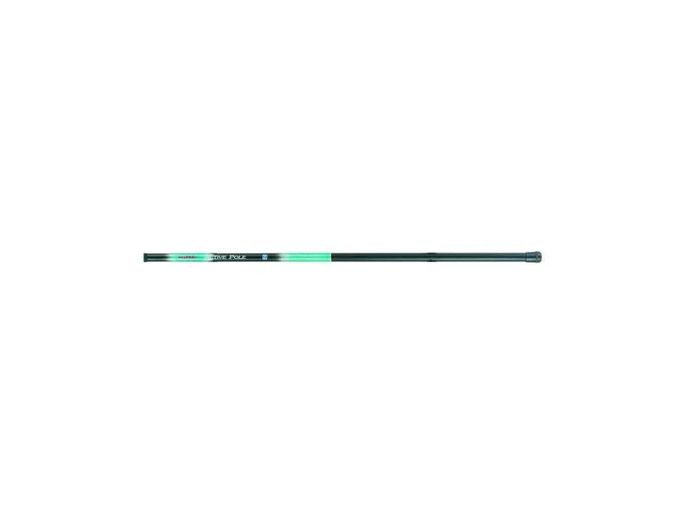 Active Pole 6,0 m 5 - 25 g | Objednejte dnes
